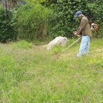 364180949_269887032320260_9200324554461202593_n